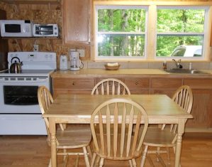 cabin-1-10