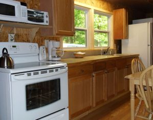 cabin-1-11