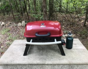 cabin-1-15