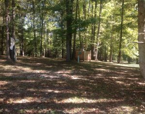 cabin-1-20