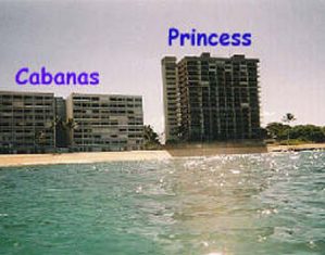 princess-4-17