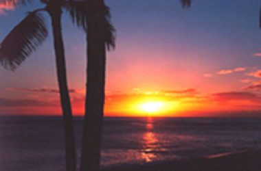 Xsunset Xsunset